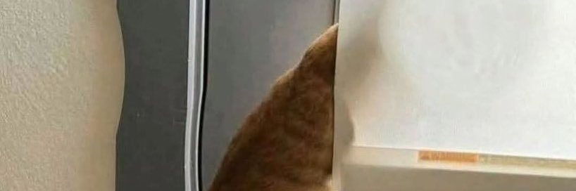 แอมมิถิง banner