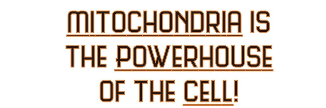 Mitochondriahhs's profile banner image