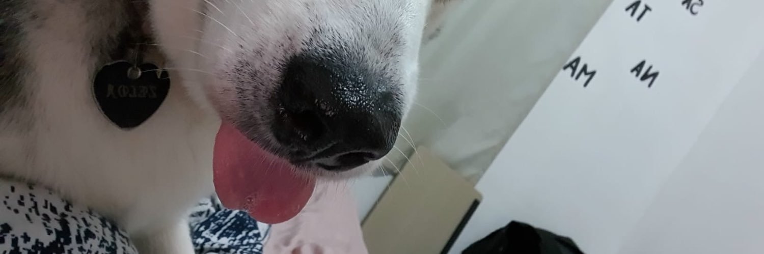 AdolfVeynaa's profile banner image