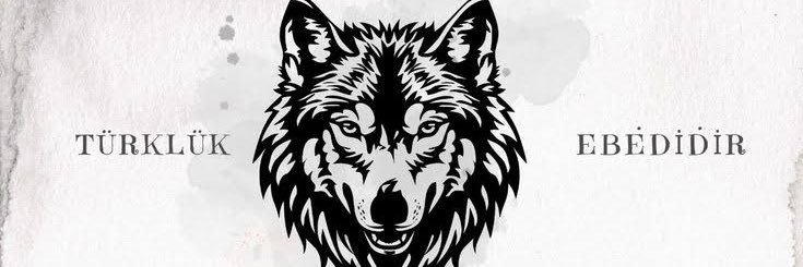 hsynss33's profile banner image
