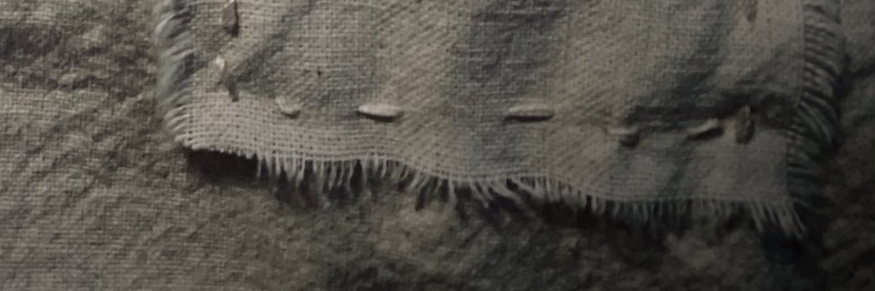 OSCARLEON_'s profile banner image