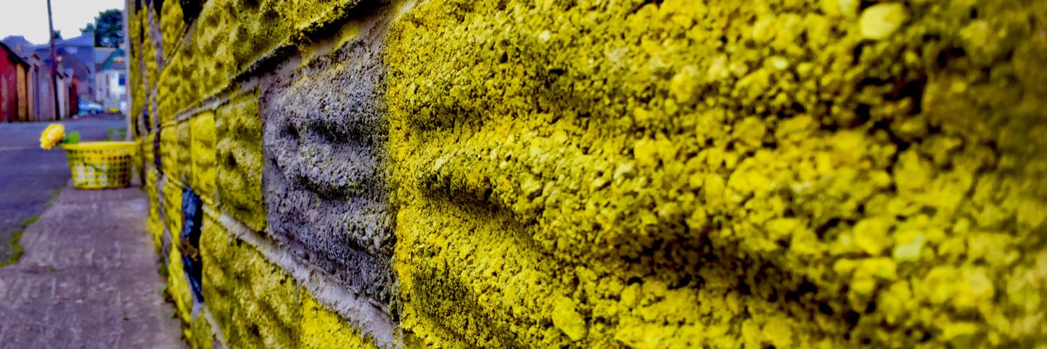 Jaimee Rae - EndoWall - The Rising Awareness banner