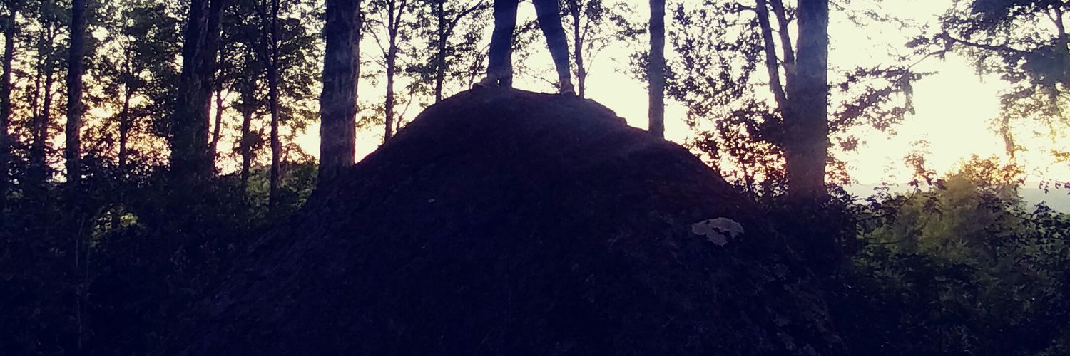 LoreIsab3l's profile banner image
