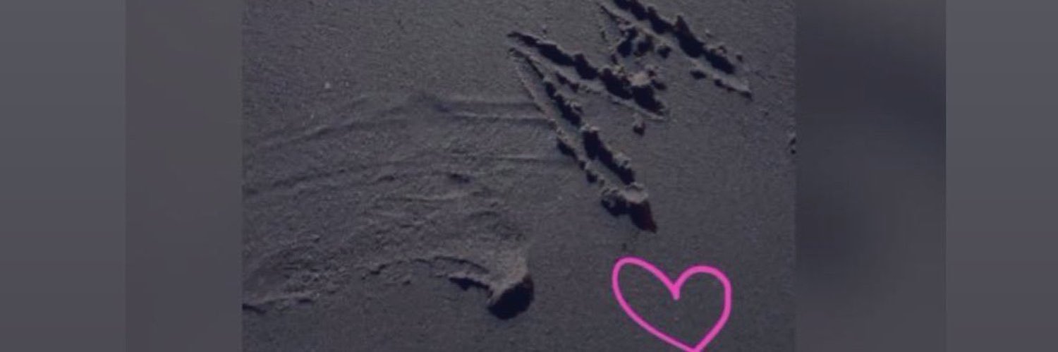 Bin_Nezar's profile banner image