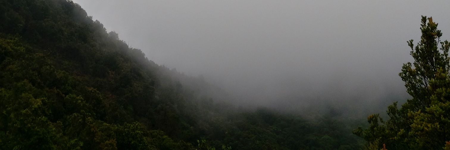 gemamahawan's profile banner image