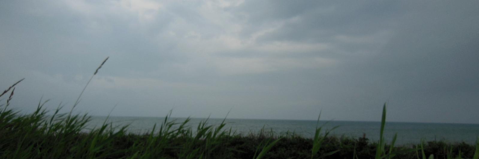 kichio0214's profile banner image