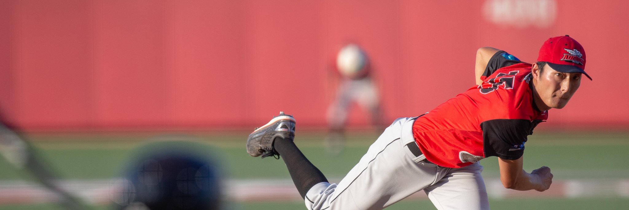 Texas AirHogs banner