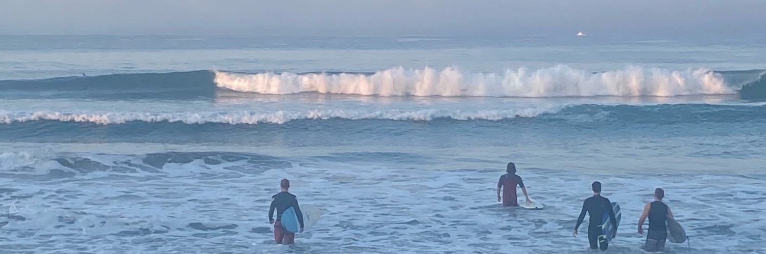 Turtle Capital banner