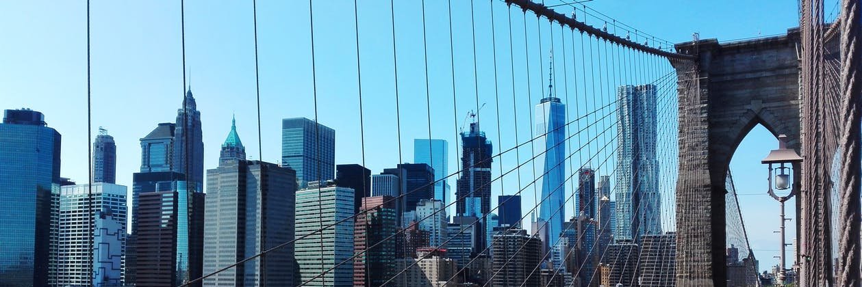 Heather Trela banner