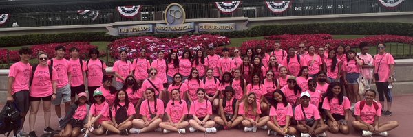 ManderStrings Profile Banner