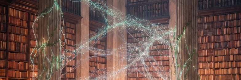 CatalyticInsights🛡️ banner