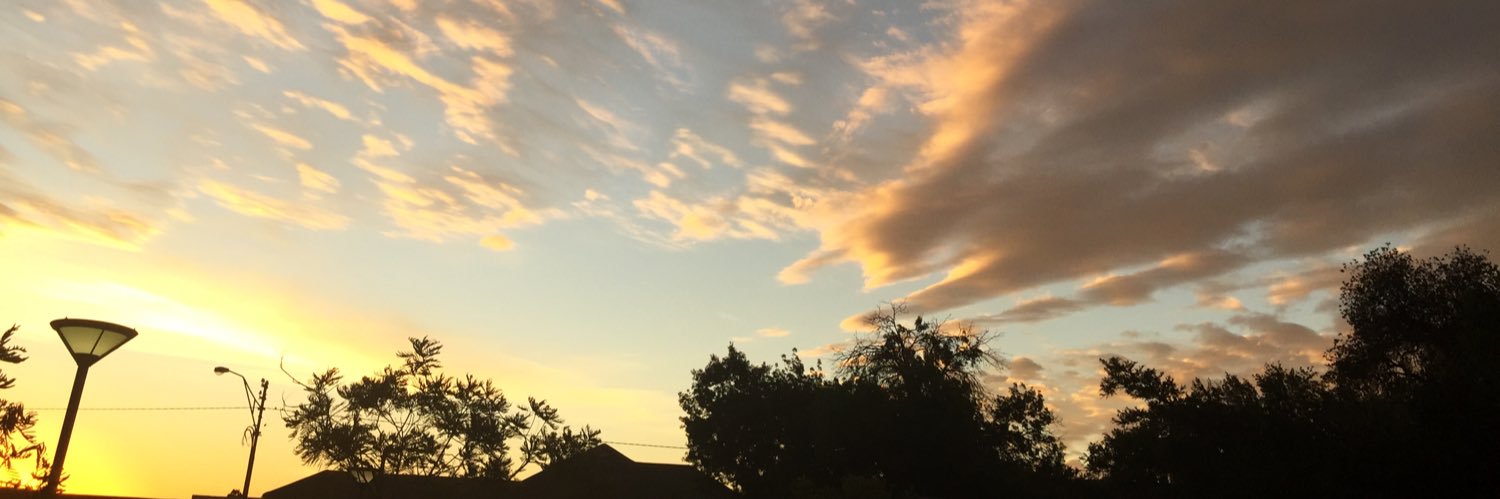 Tehillah Niselow banner