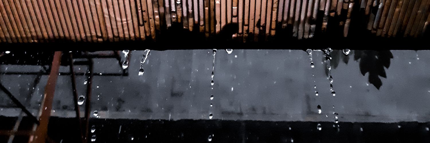 humansapienss's profile banner image