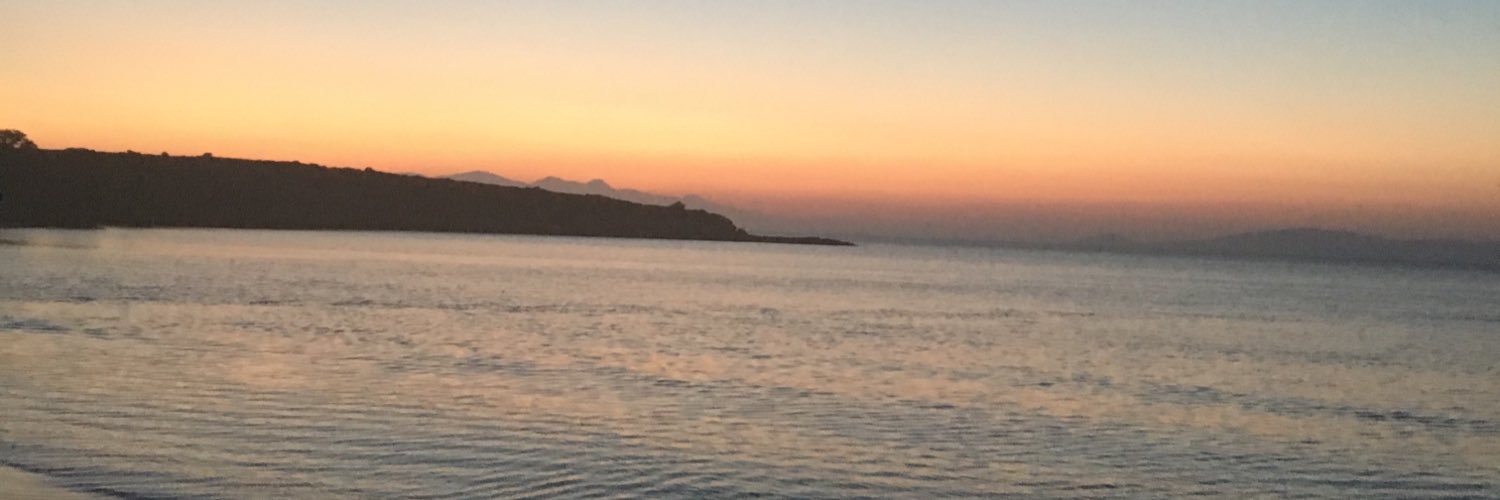 zeyneptansug's profile banner image