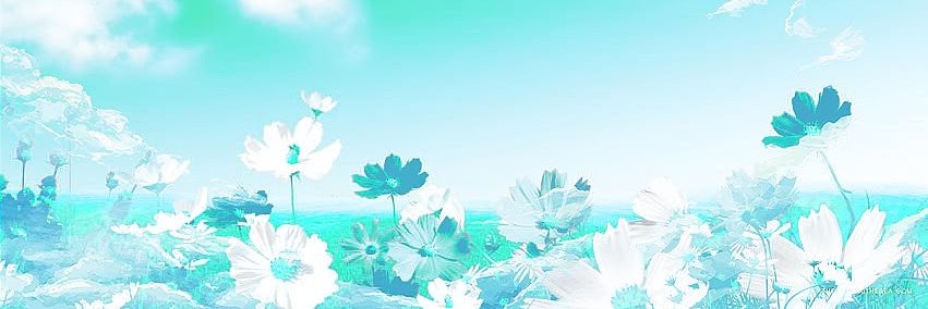Nico 🐧 banner