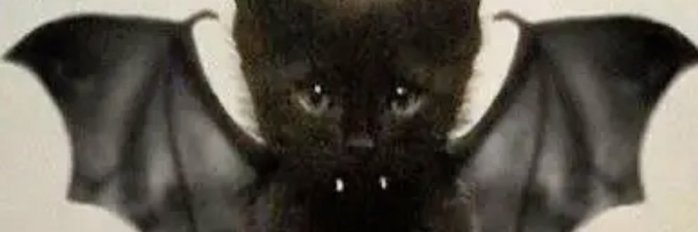 MaseWasHere's profile banner image