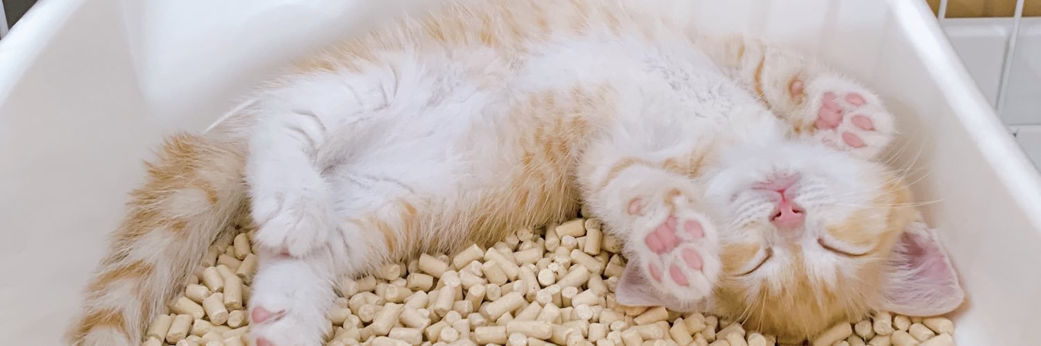 も&もちもな banner