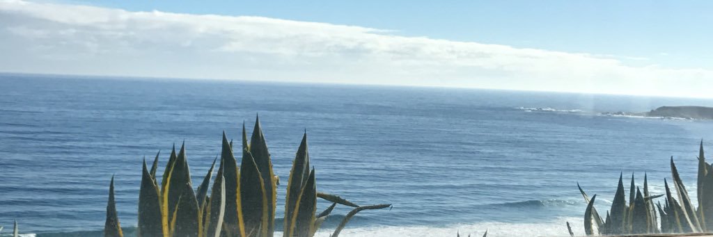 MagdalenaLM's profile banner image