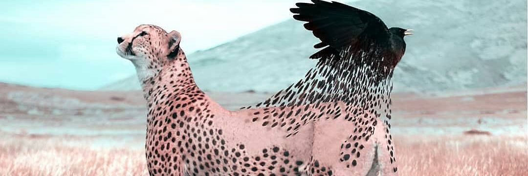 RCLNH29's profile banner image