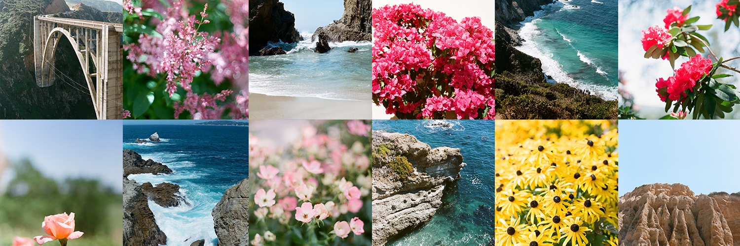 Kelsy McCartney banner