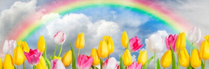 Kristin57348247's profile banner image