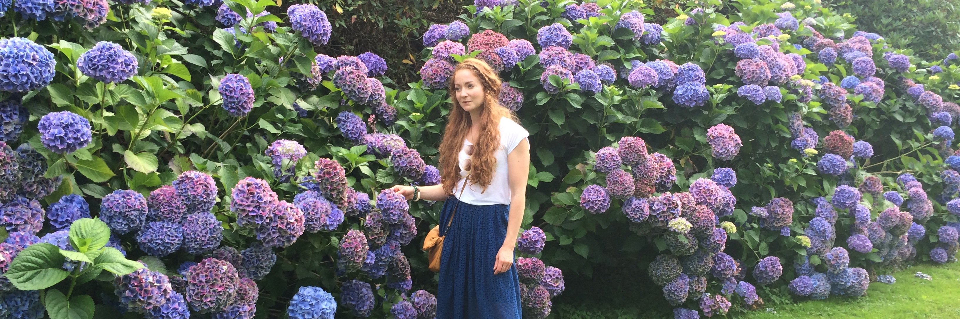 PhoebeTThomas's profile banner image