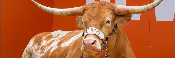 LonghornMaga Profile Banner