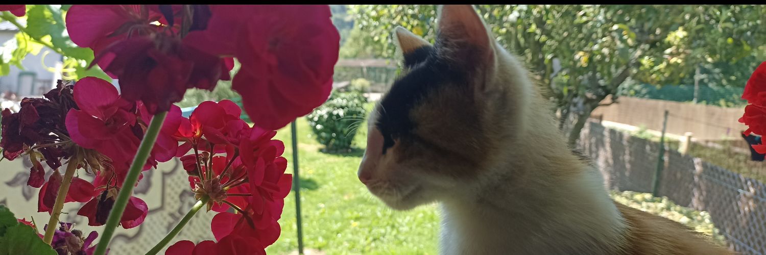 PauMurado's profile banner image