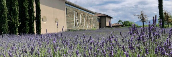 BodegasRoda Profile Banner