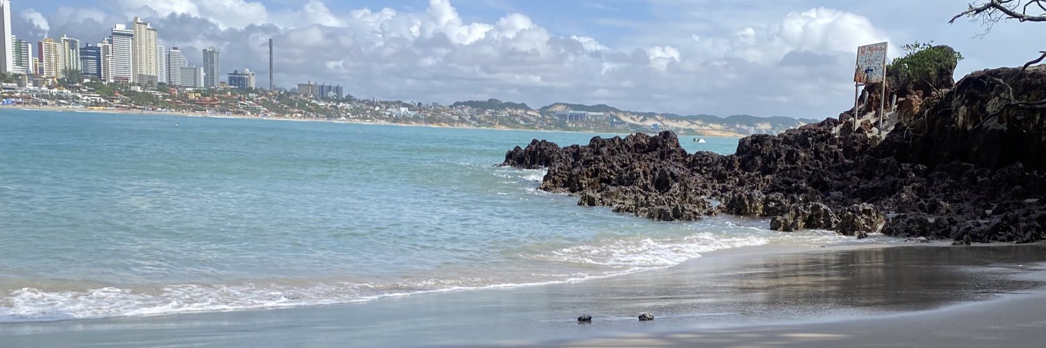 moglisito trem banner