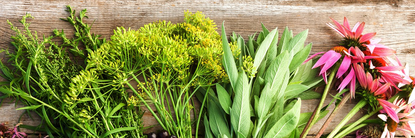 Nature's Answer banner