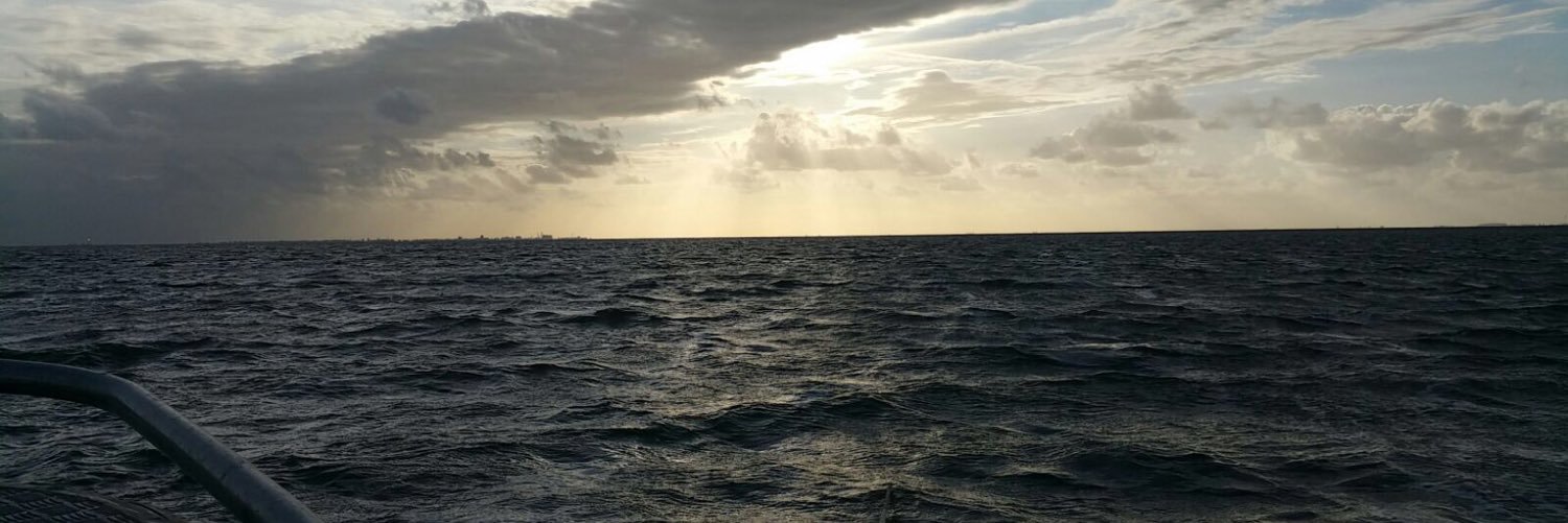 HansSpiegelaar's profile banner image
