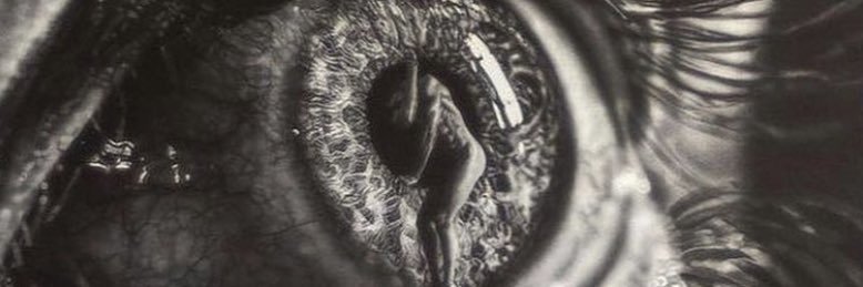 Crypto Monkey 🐒 banner