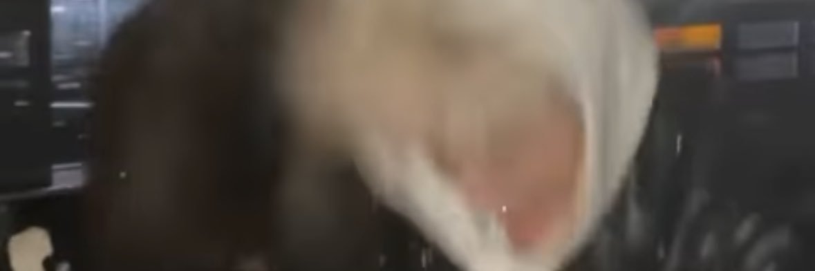 midstyoumay's profile banner image
