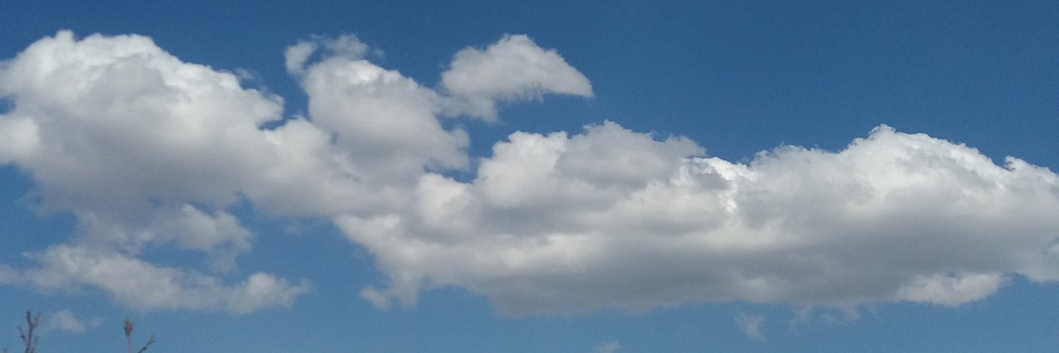 MerveAtasever's profile banner image