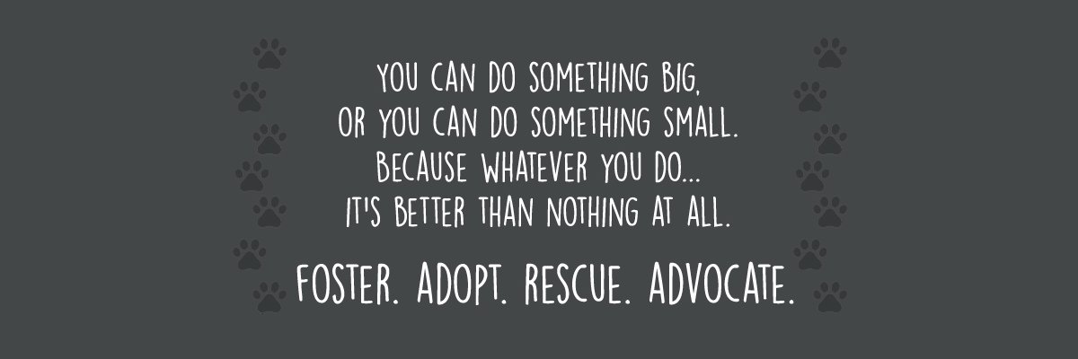 Warrior Dog Rescue banner