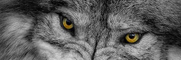 MarkoTanas Profile Banner