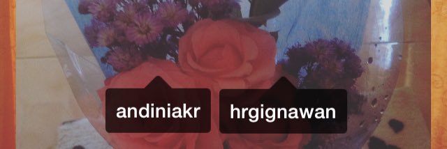 Niakrn_'s profile banner image