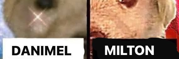 danielidazai's profile banner image