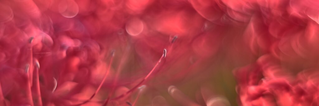 cerodoble's profile banner image