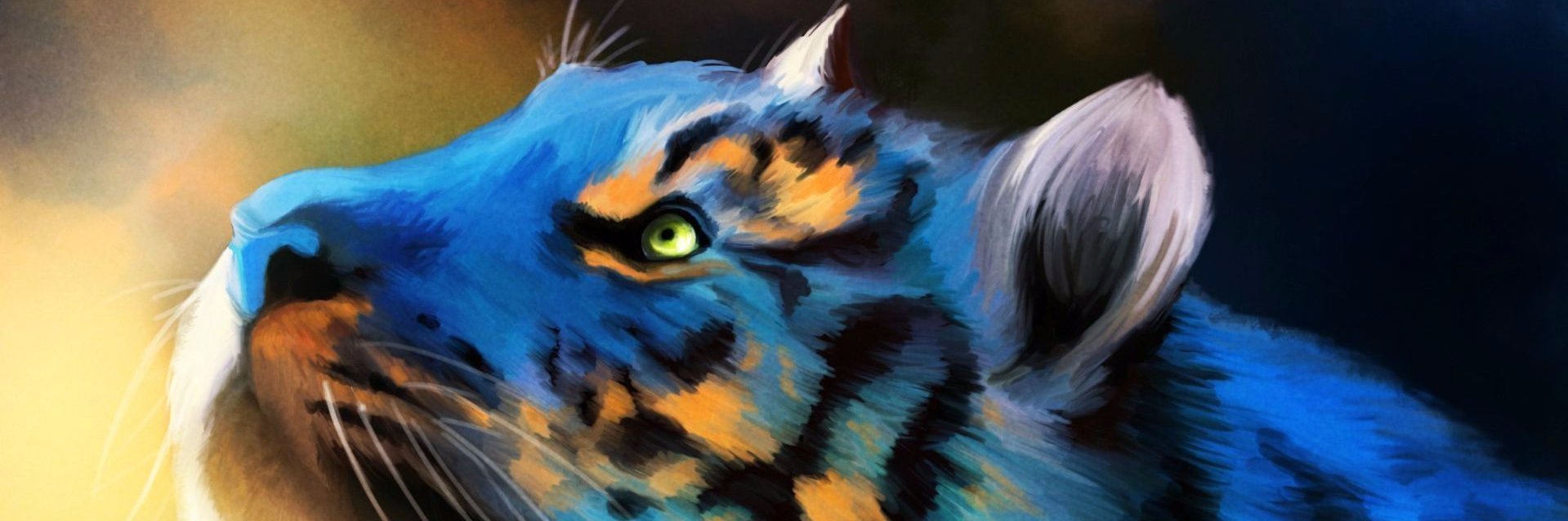 B33D0's profile banner image