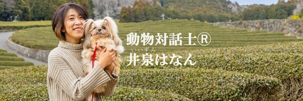 hanan_jp's profile banner image