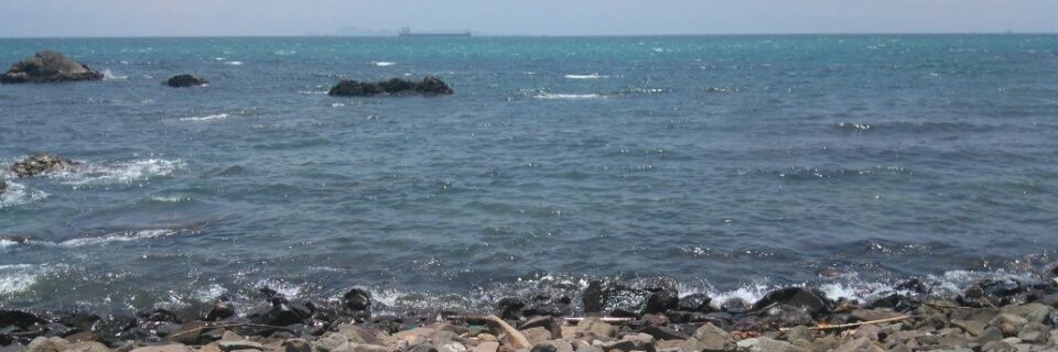 windididi1's profile banner image
