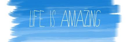 SantaSvampe's profile banner image