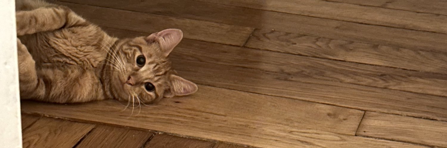 HugoBlrd's profile banner image