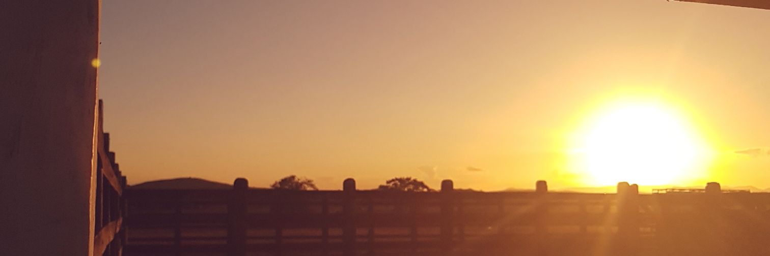 aminefernandes's profile banner image