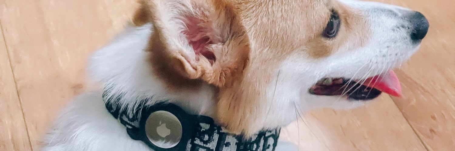 litaploy's profile banner image