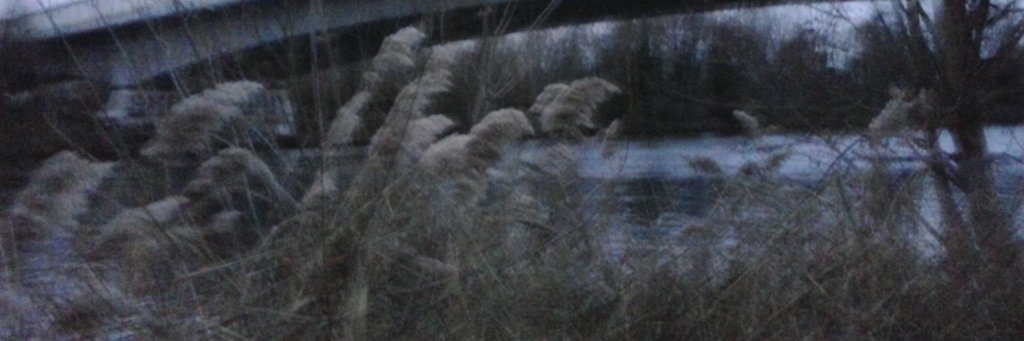 Frédéric Pattar banner