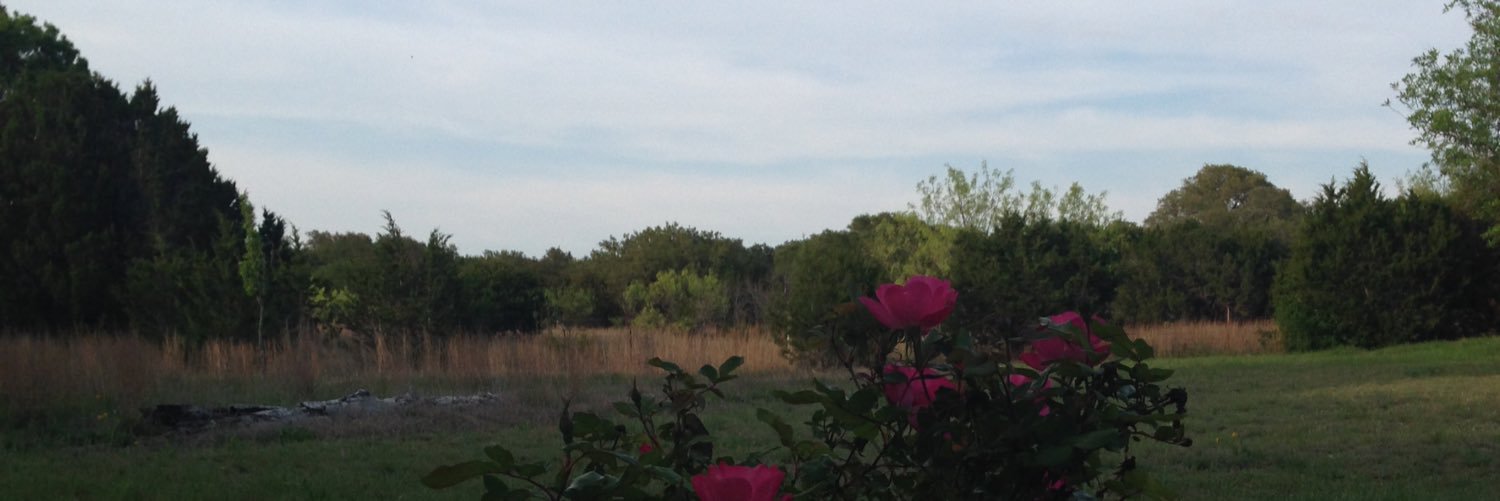 Ksandatx's profile banner image