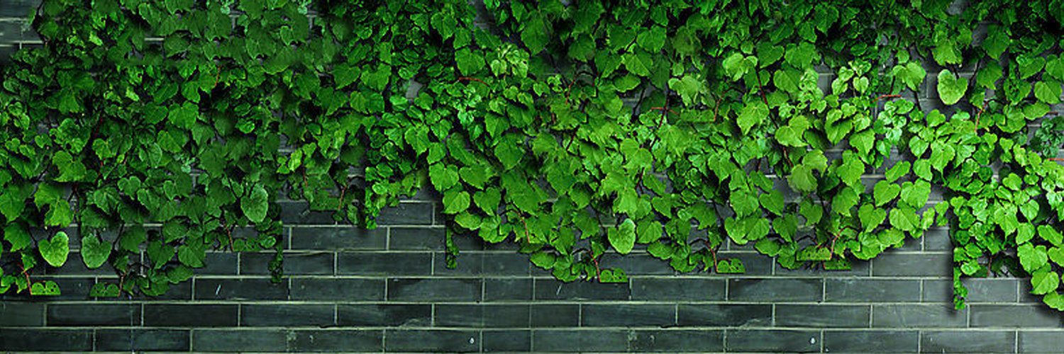 DEDIFNE| ETHGas ⛽ banner